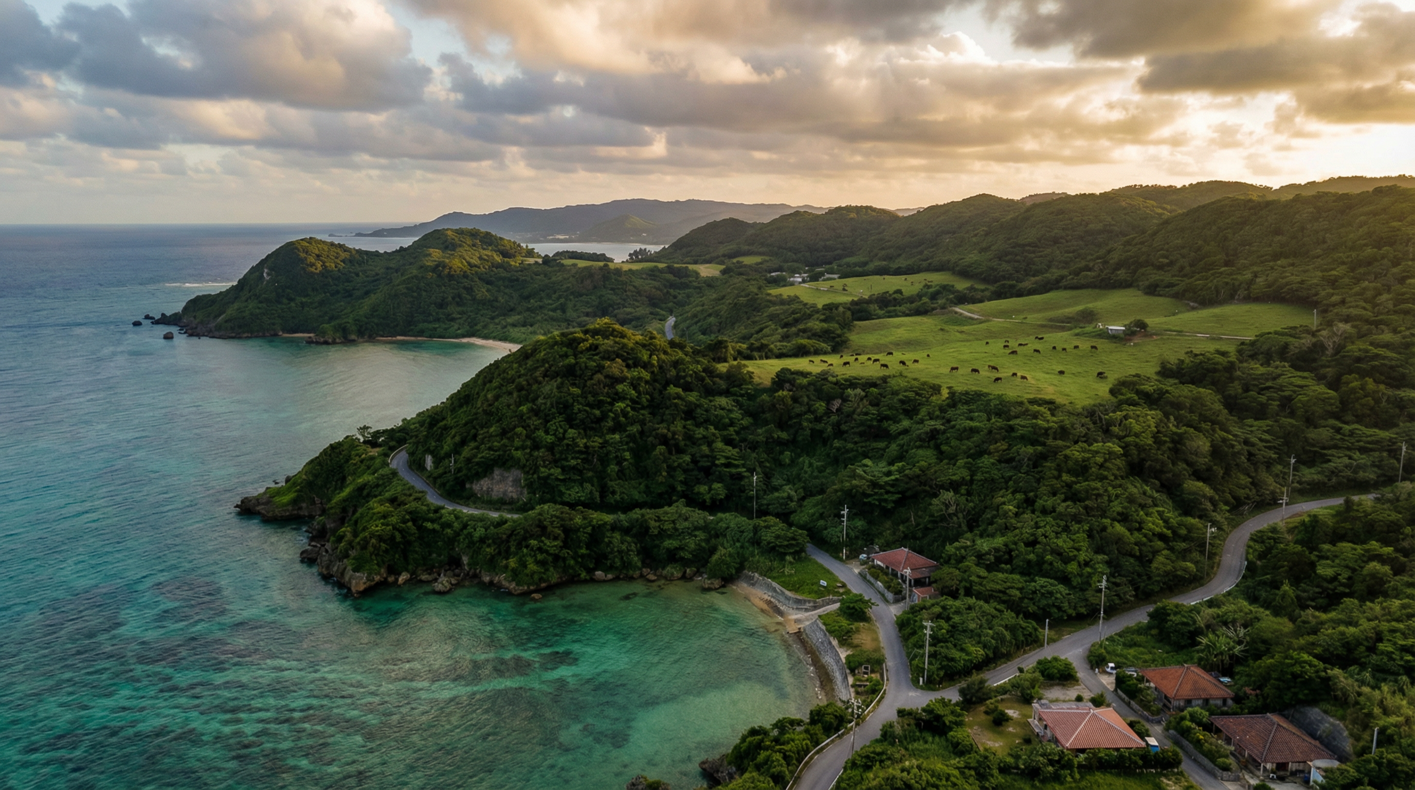 やんばるの自然